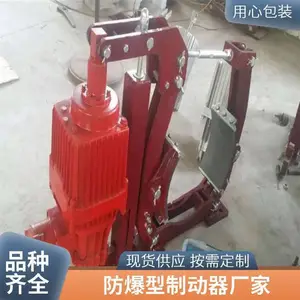 防爆 DYW630-2000匹配BEd301/6 隔爆型电力液压鼓式制动器