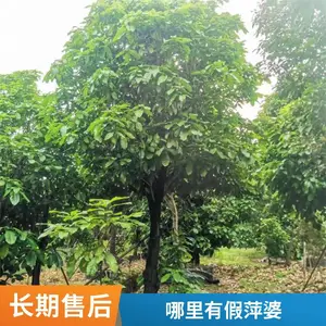 �����ȫ��Ƽ�Ź㶫�����м۸���˳ɻ�***���ز��ؼ۸�����Ƽ��