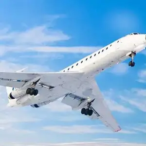 �������� ���˴������������FBAͷ��ŷ��ר�߿��ɺ���