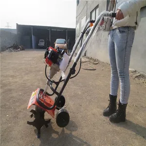 �ַ�ʽ������ С�������Ӳݻ� �Ʒ�