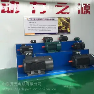 山东开元电机公司张凯变频电机YVF2-160M-4-11