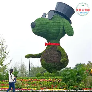 �Ͳ˻��ڵ��������� ��ͨ�����̵��� ���ξ�������������