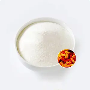 青春双歧杆菌食品级原料供应青岛诺森生物益生菌冻干粉
