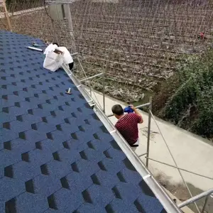 �������������� ���������������ӹ� ������������ѯ����