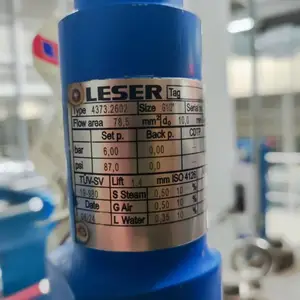 意大利LESER 4373.2602高性能安全阀用于制药行业原价直销