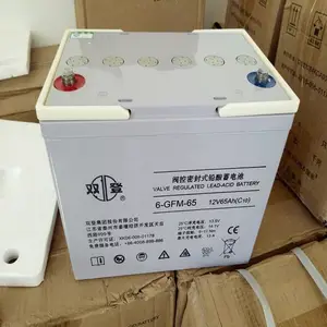 双登蓄电池6-GFM-65 12V65AH代理商