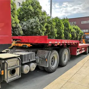 欧阳聚德13.75米平板半挂车