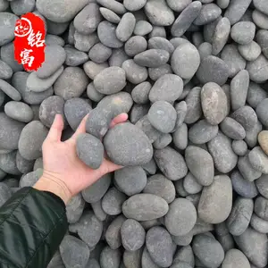 广东惠州黑色抛光雨花石 惠州黑色鹅卵石案例 惠州黑色雨花石报价