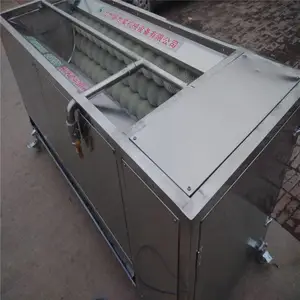 ëˢ��ϴ��