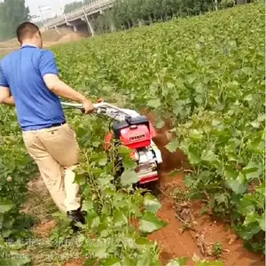 �����๦�ܿ��������� ȫ����С�Ϳ����� ũ�ô��������