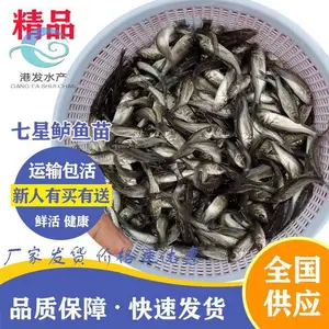 �ձ��������� ��ˮ���� �������� ����������ֳ����