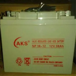 �¿�������NP12-24 12V24AH���۶��ٵ���