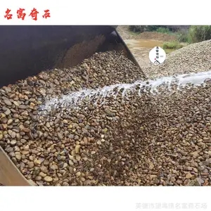 �㶫����ʯ֮�ң���԰�����̵ؽ���ʯ�ӣ��̻�����װ�ε�׺ʯ