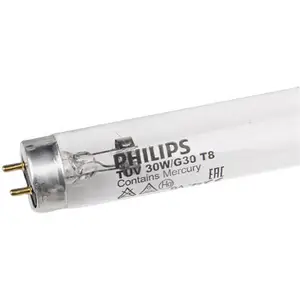 PHILIPS������ ����������ʯӢ�ƹ� ѧУ���ڿ�����Դ***