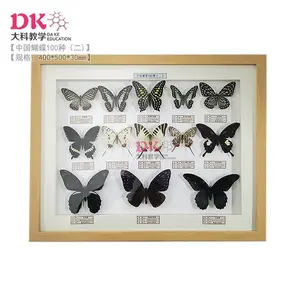 �й������걾100�� ���40*50cm 6��װ���ظ���Ʒ����� �����ģ�