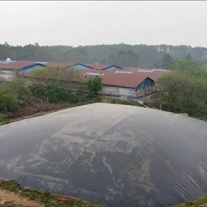 黑膜沼气池_养殖污水处理_黑膜氧化塘_HDPE厌氧池