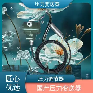天康 TK3051C型 智能型压力变送器 铸铁塑料 纸浆和造纸行业