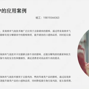 实验室微纳米气泡发生器 多气源接入 智能控制 科研设备厂家直销