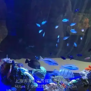 ����չ������Դרҵ����չ�����������������