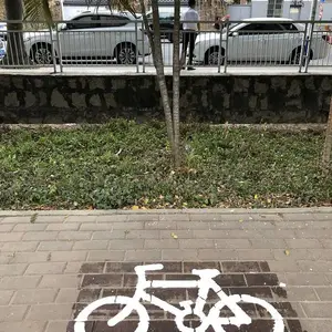��������ͨ������-�������г�ͣ�ű���-������ʶ����
