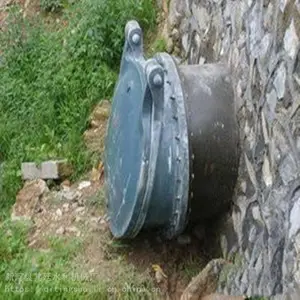 ���� �������� ����ֽ�ˮ���� ˮ������բ�� ��͢ˮ��