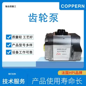 适用于单缸圆锥破碎机配件C5082379/211019689法国HPI油泵