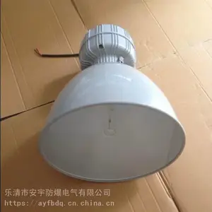 ����������BAD81-L150B1Z-150W��±�Ʊ�ʽ��װ