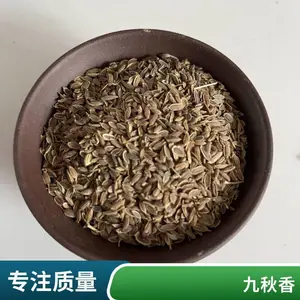 ��ҩ�� ������ ������Ч���� ���ҩҵ ���ع�Ӧ ǧ����
