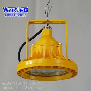 GCD613-AC220V20WLED防爆泛光灯