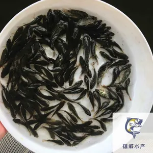 �޷�����������ȫ�����޷�������ۺ���һ���޷����繩Ӧ