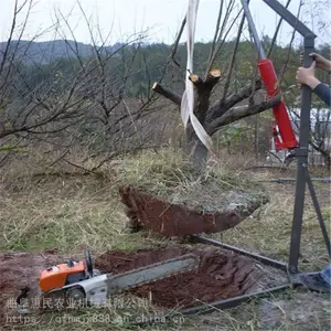 ���� ���������������� ���������� ����ɽ��������