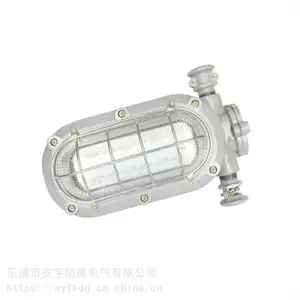 矿用隔爆型LED照明灯DGC24/127 24W/127V