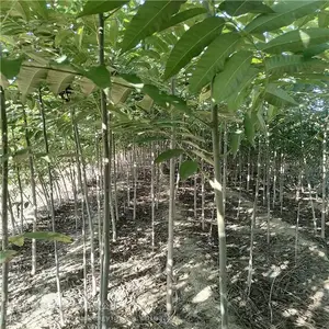 ¶���㴻���� ����ũҵ ��Ʒ���㴻�� ���س���