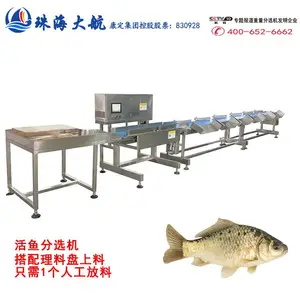 活鱼自动称重分拣分级机_珠海大航水产分选机系列