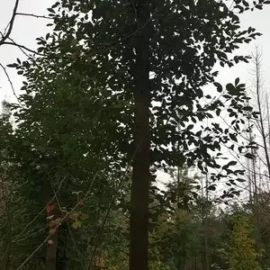 �������أ�ȫ���������ظ�������������������