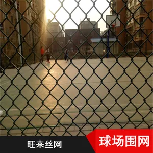 安平球场围网 勾花护栏网 框架式钢板网 场地隔离防护 出口品质