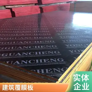 深圳建筑用木模板 酚醛镜面小红板 高周转清水覆膜板 能强优品木业