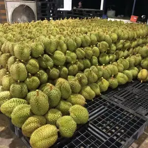 �߶�ˮ���� ������ˮ����Ʒ�д������������