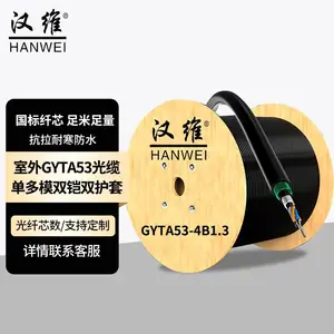 汉维HANWEI光缆双铠双护套直埋地埋 GYTA53-24B1 1米