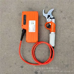 �綯�޼��� ����ɹ����޼��綯������԰�ּ�����֦��