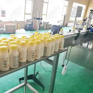 沃达斯科小型酸奶生产设备,酸奶全套加工机器