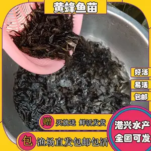 ���Ի������ ���Իƹ����� �ӽ��ƹ����� ������ �ƹ����ӽ�����