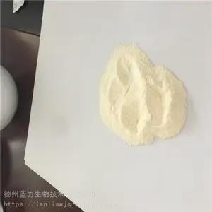 �ػʵ��� �㽺ԭ�������������� С���ӵ�����