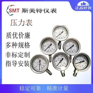 ѹ����\YMF-100B\100mm\1.6��\0-0.6MPa\DN40\����