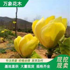 ���س��� �������� �ֵ��е��� ����ͥԺ�̻���ľ �̻�������