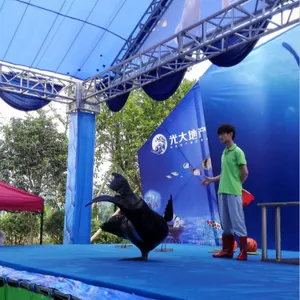 ��ʨ�������޹�˾רҵ��Ϸ�ű��ݹ�˾����������������