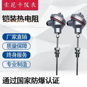 热电阻 SNKZP-2312 PT100热电阻 铠装热电阻 SNKZP-2310