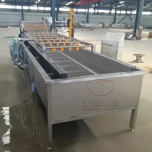 桑葚清洗机桑葚高压气泡清洗机3米清洗机设备