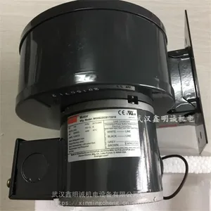 ����DAYTON���ٵ�����ķ�� ֱ���������1L520