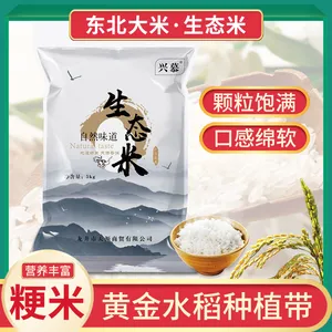 兴慕东北延边大米5千克家庭装10斤装延边小粒香米圆粒米